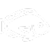 Fish Icon